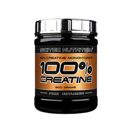 100% CREATINE (300 GR) UNFLAVORED