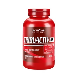 TRIBUACTIV B6 (90 KAPSZULA)