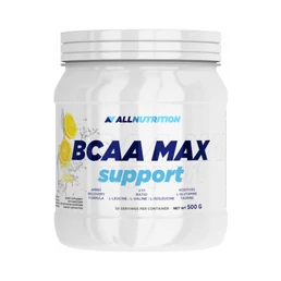 BCAA MAX SUPPORT (500 GR) LEMON BCAA MAX SUPPORT (500 GR) LEMON