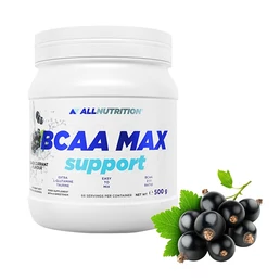 BCAA MAX SUPPORT (500 GR) BLACKCURRANT BCAA MAX SUPPORT (500 GR) BLACKCURRANT