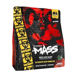 MASS (2270 GR) CHOCOLATE FUDGE BROWNIE