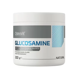 GLUCOSAMINE (210 GR) UNFLAVORED