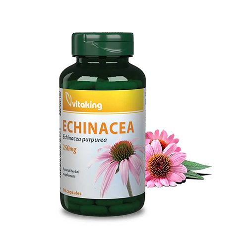 ECHINACEA KIVONAT 250 mg (90 KAPSZULA) ECHINACEA KIVONAT 250 mg (90 KAPSZULA)