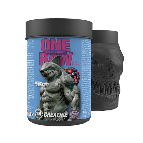 ONE RAW CREATINE (300 GR) WILD BERRIES ONE RAW CREATINE (300 GR) WILD BERRIES